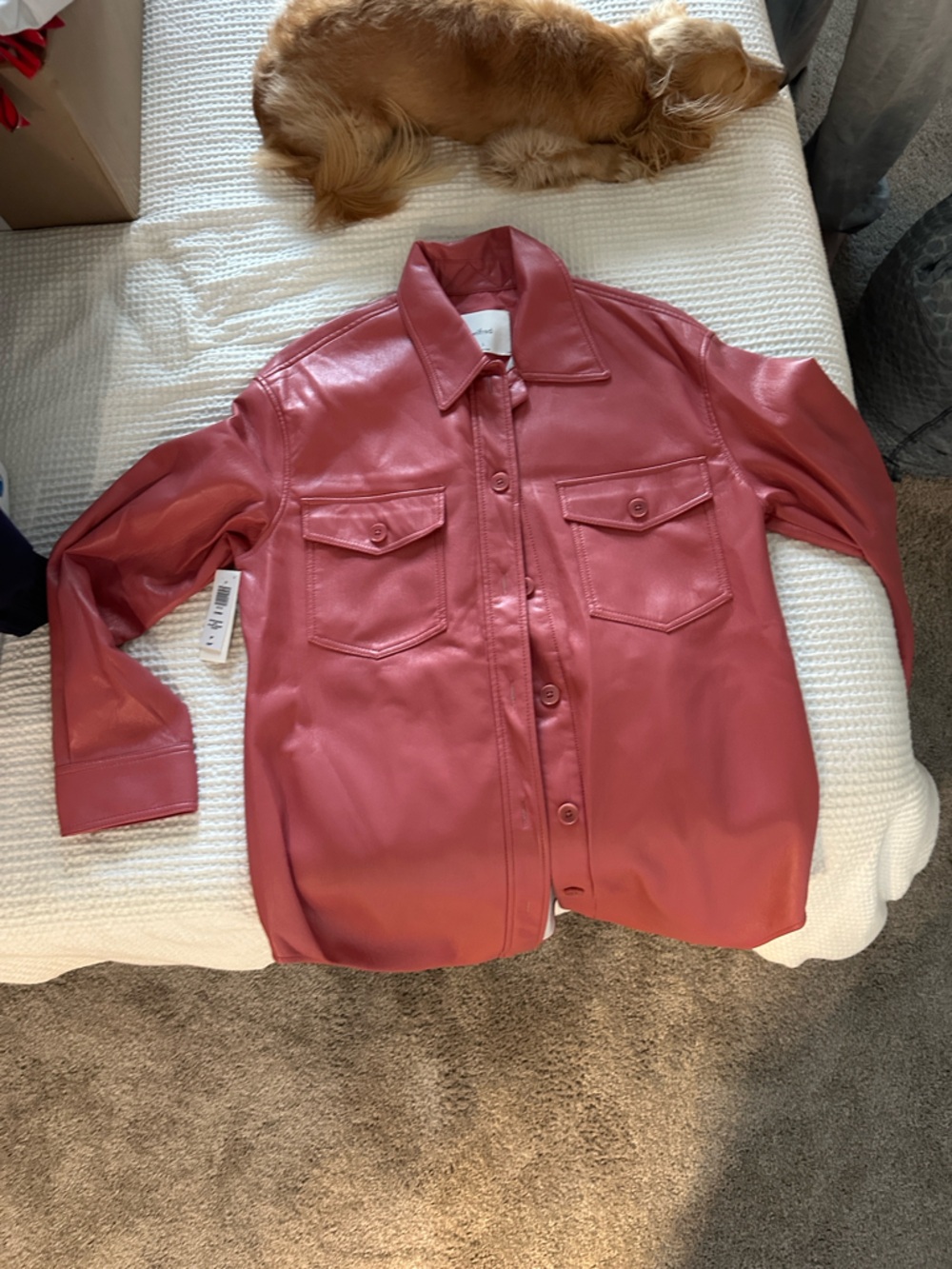 Aritzia Red Faux Leather Button-Front Jacket